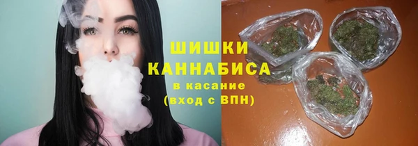 ECSTASY Бронницы